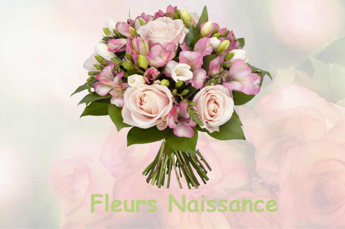 fleurs naissance VIELLENAVE-DE-NAVARRENX